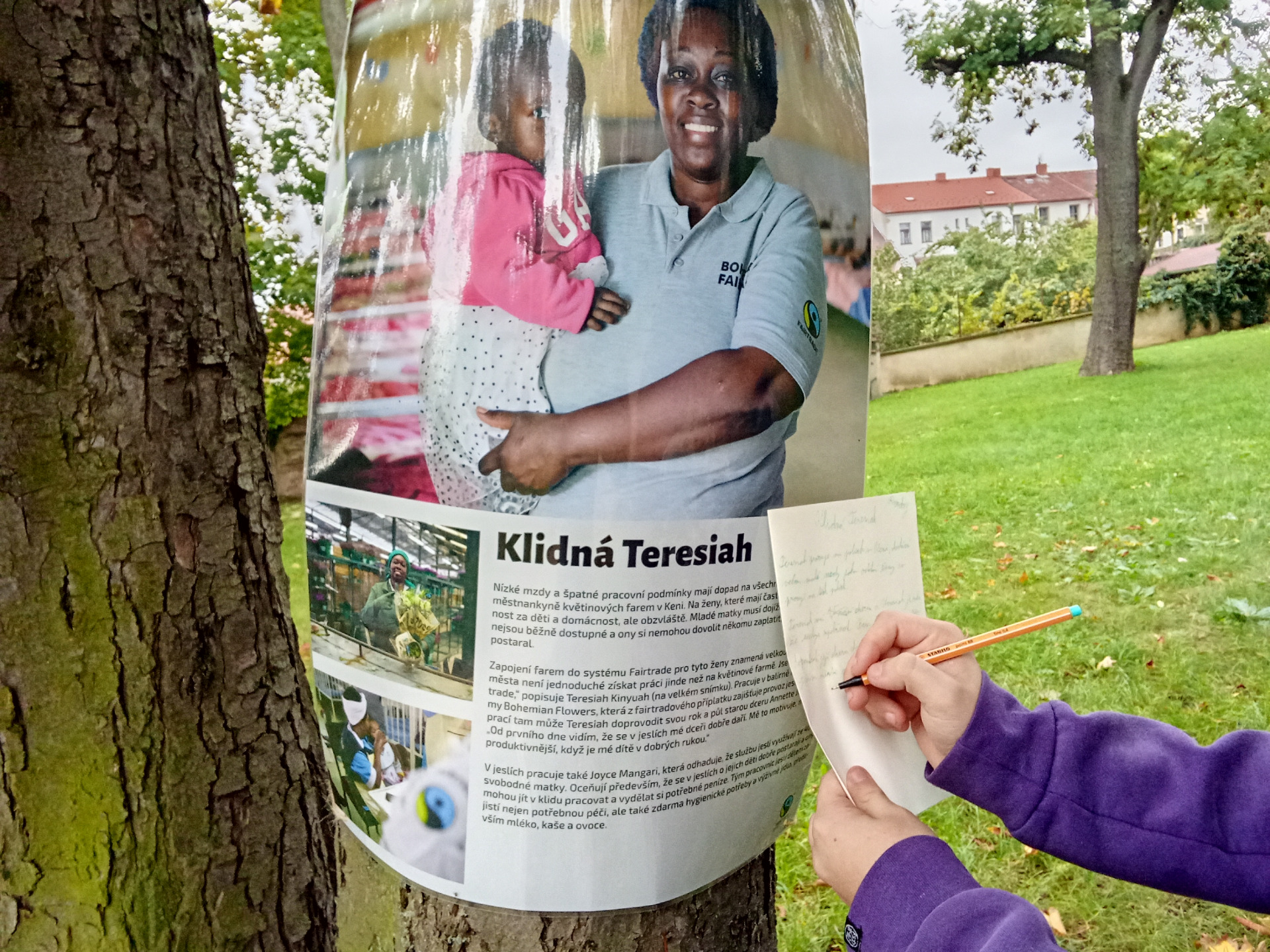Zobrazit všechny fotografie