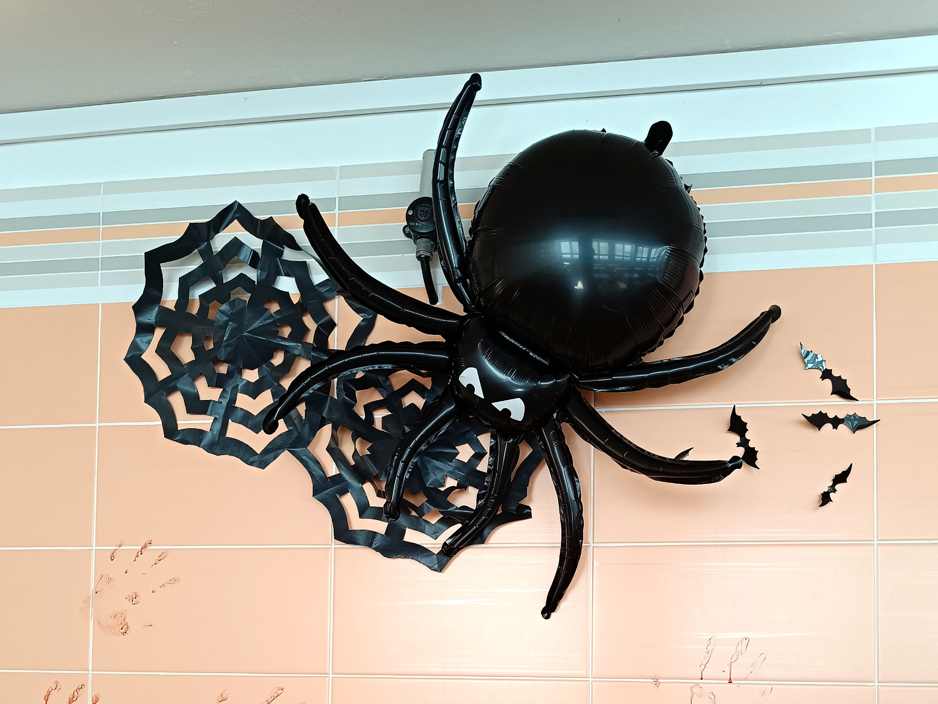 Zobrazit všechny fotografie